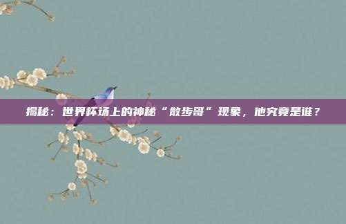 揭秘：世界杯场上的神秘“散步哥”现象，他究竟是谁？