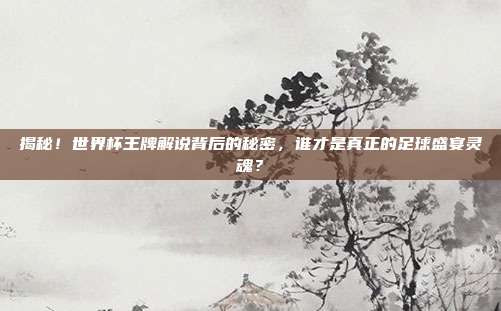 揭秘！世界杯王牌解说背后的秘密，谁才是真正的足球盛宴灵魂？