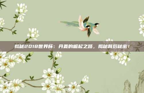 揭秘2018世界杯:丹麦的崛起之路,揭秘背后秘密!