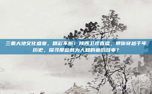 三秦大地文化盛宴，精彩不断！陕西卫视直播，带你穿越千年历史，探寻那些鲜为人知的幕后故事？