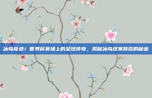 冰岛奇迹！世界杯赛场上的足球传奇，揭秘冰岛球赛背后的秘密