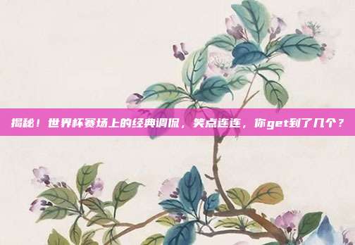 揭秘！世界杯赛场上的经典调侃，笑点连连，你get到了几个？