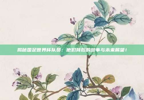 揭秘国足世界杯队员：他们背后的故事与未来展望！