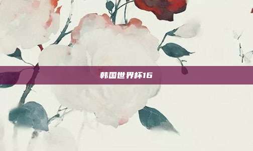 韩国世界杯16
