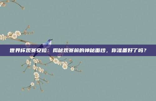 世界杯观赛安检：揭秘观赛前的神秘面纱，你准备好了吗？