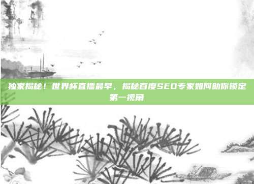 独家揭秘！世界杯直播最早，揭秘百度SEO专家如何助你锁定第一视角