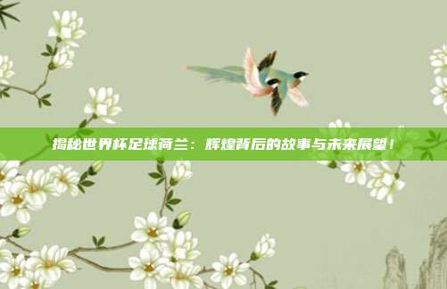 揭秘世界杯足球荷兰：辉煌背后的故事与未来展望！