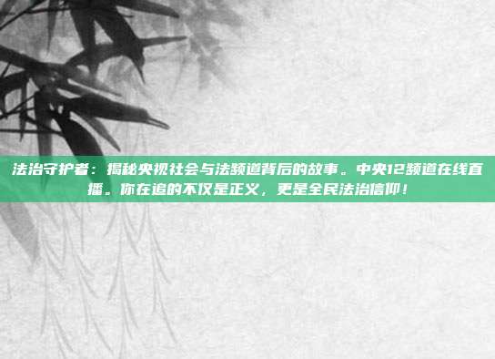 法治守护者：揭秘央视社会与法频道背后的故事。中央12频道在线直播。你在追的不仅是正义，更是全民法治信仰！