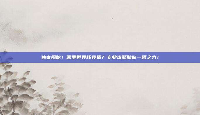 独家揭秘！哪里世界杯竞猜？专业攻略助你一臂之力！