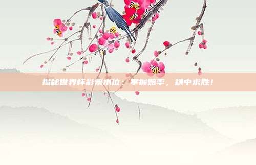 揭秘世界杯彩票水位：掌握赔率，稳中求胜！