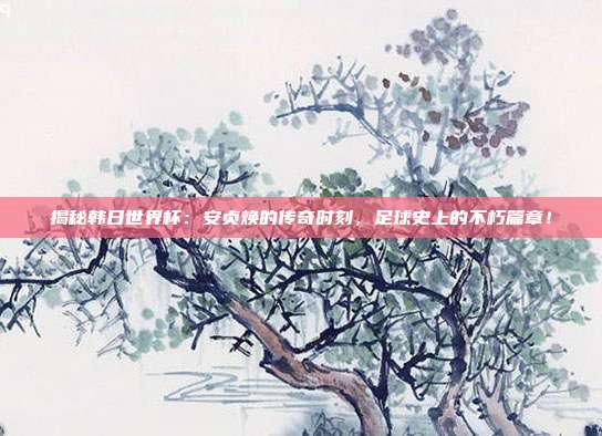 揭秘韩日世界杯：安贞焕的传奇时刻，足球史上的不朽篇章！