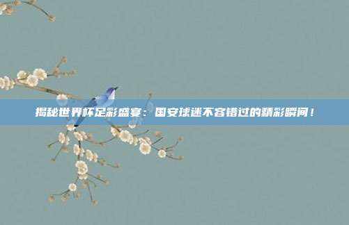 揭秘世界杯足彩盛宴：国安球迷不容错过的精彩瞬间！