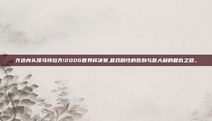 齐达内头顶马特拉齐!2006世界杯决赛,最戏剧性的告别与意大利的复仇之路。