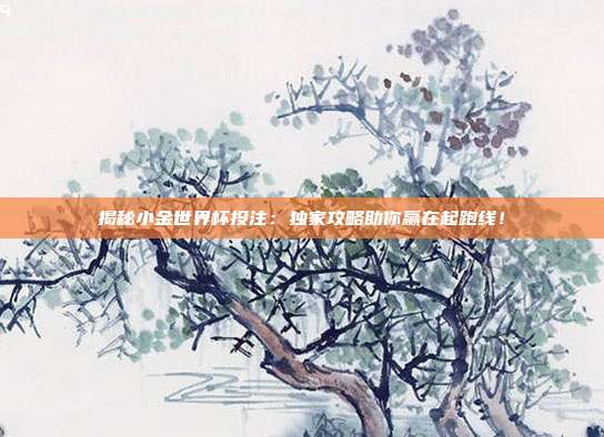 揭秘小金世界杯投注：独家攻略助你赢在起跑线！