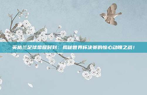 英格兰足球荣耀时刻:揭秘世界杯决赛的惊心动魄之战!