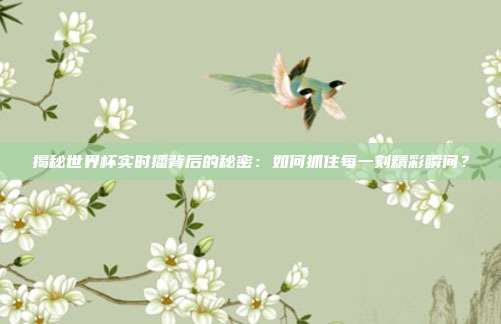 揭秘世界杯实时播背后的秘密：如何抓住每一刻精彩瞬间？