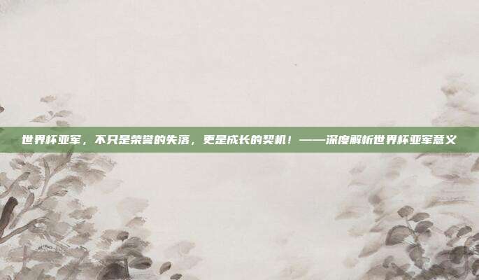 世界杯亚军,不只是荣誉的失落,更是成长的契机!——深度解析世界杯亚军意义