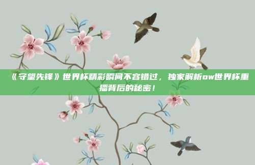 《守望先锋》世界杯精彩瞬间不容错过,独家解析ow世界杯重播背后的秘密!