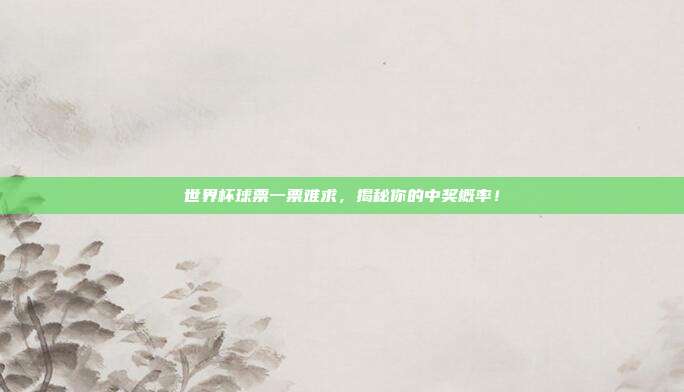 世界杯球票一票难求，揭秘你的中奖概率！