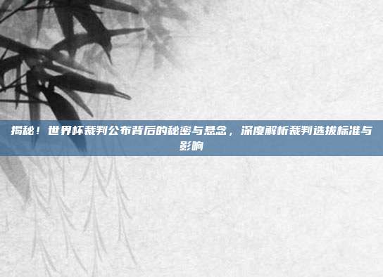 揭秘!世界杯裁判公布背后的秘密与悬念,深度解析裁判选拔标准与影响