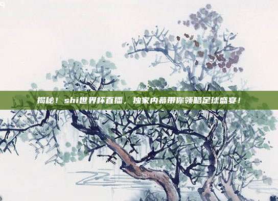 揭秘！shi世界杯直播，独家内幕带你领略足球盛宴！