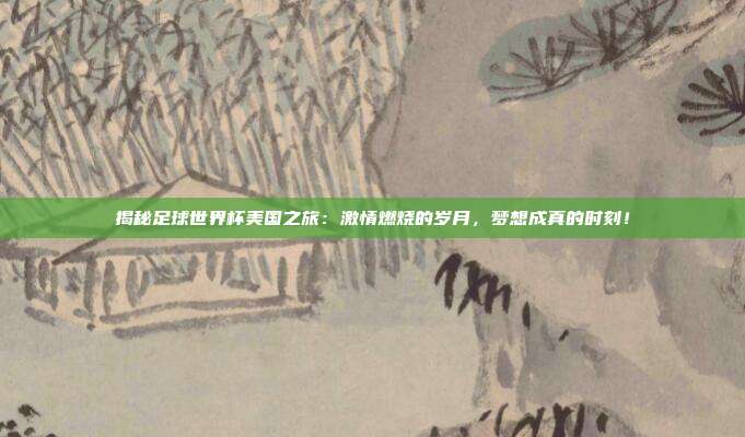 揭秘足球世界杯美国之旅：激情燃烧的岁月，梦想成真的时刻！