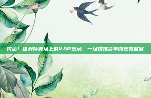 揭秘！世界杯赛场上的VAR视角，一场技术变革的视觉盛宴