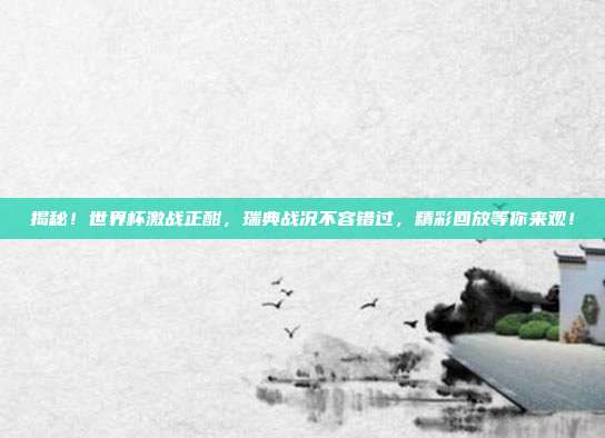 揭秘！世界杯激战正酣，瑞典战况不容错过，精彩回放等你来观！