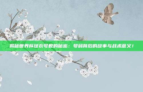 揭秘世界杯球衣号数的秘密：号码背后的故事与战术意义！