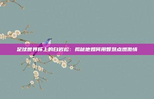 足球世界杯上的白岩松：揭秘他如何用智慧点燃激情