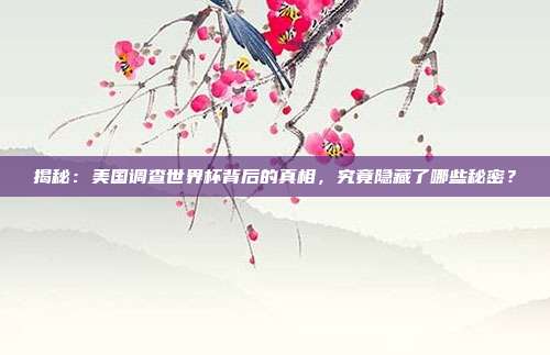 揭秘:美国调查世界杯背后的真相,究竟隐藏了哪些秘密?