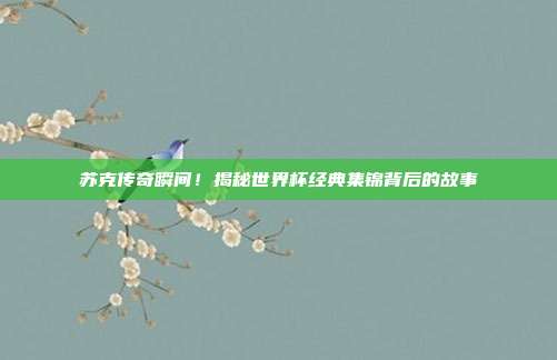 苏克传奇瞬间！揭秘世界杯经典集锦背后的故事