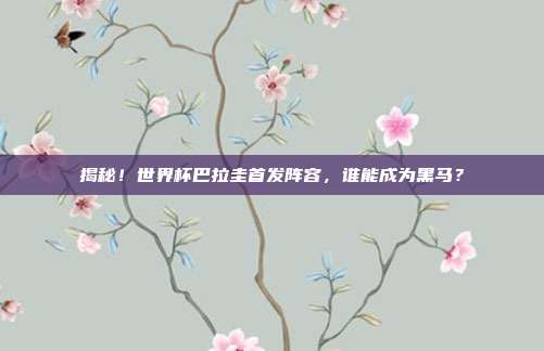 揭秘!世界杯巴拉圭首发阵容,谁能成为黑马?