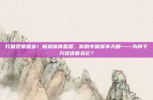打破观赛壁垒！新浪体育直播，你的专属赛事天眼——为何千万球迷首选它？