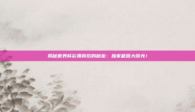 揭秘世界杯彩票背后的秘密：独家截图大曝光！