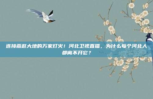 连接燕赵大地的万家灯火！河北卫视直播，为什么每个河北人都离不开它？