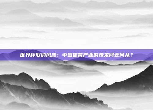 世界杯取消风波:中国体育产业的未来何去何从?