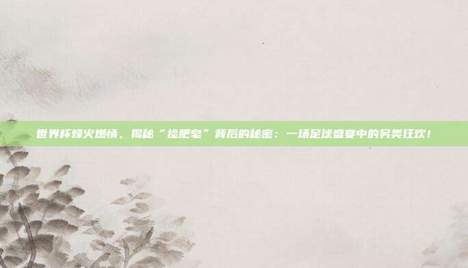 世界杯烽火燃情，揭秘“捡肥皂”背后的秘密：一场足球盛宴中的另类狂欢！