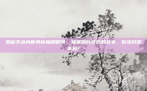 揭秘齐达内世界杯巅峰瞬间：独家图片背后的故事，你绝对想不到！
