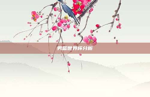 男篮世界杯分析
