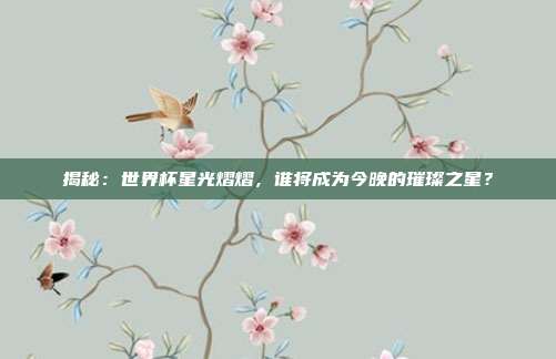揭秘：世界杯星光熠熠，谁将成为今晚的璀璨之星？