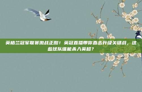 英格兰冠军联赛激战正酣！英冠直播带你直击升级关键战，这些球队谁能杀入英超？