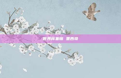 世界杯集锦 墨西哥