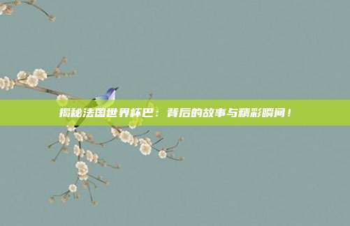 揭秘法国世界杯巴：背后的故事与精彩瞬间！