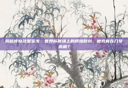 揭秘传奇球星菲戈:世界杯赛场上的辉煌时刻,他究竟在几号亮相?
