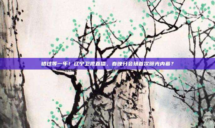 错过等一年！辽宁卫视直播，春晚分会场首次曝光内幕？