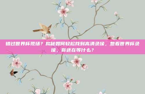 错过世界杯现场?揭秘如何轻松找到高清录像,想看世界杯录像,你还在等什么?