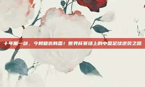 十年磨一剑，今朝复仇韩国！世界杯赛场上的中国足球逆袭之路