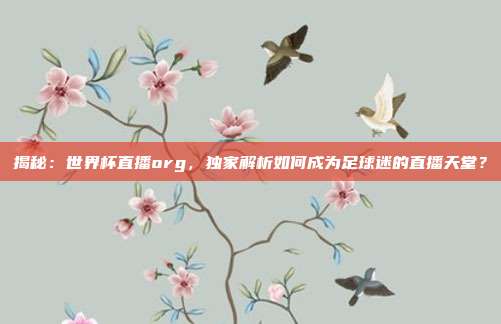 揭秘:世界杯直播org,独家解析如何成为足球迷的直播天堂?