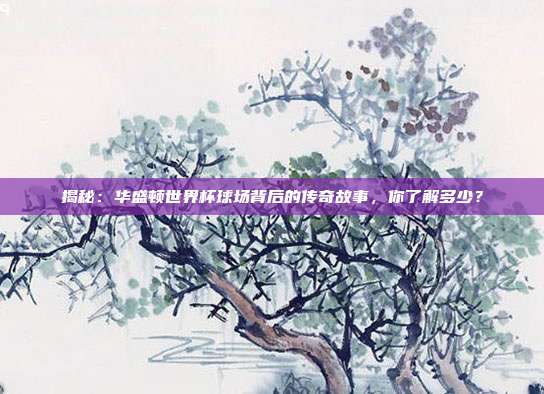 揭秘：华盛顿世界杯球场背后的传奇故事，你了解多少？